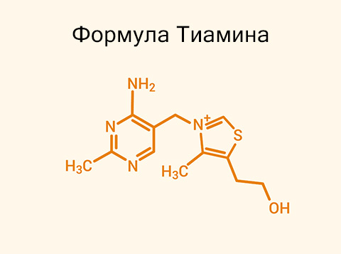 формула тиамина