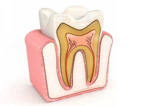 почему болят зубы